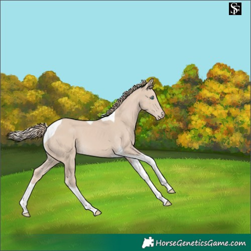 Horse Color:Smoky Creme Tobiano 