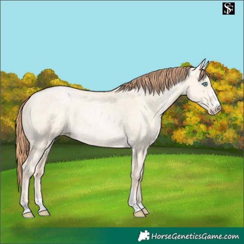 Horse Color:Classic Cream Champagne Pearl Dun Sabino 