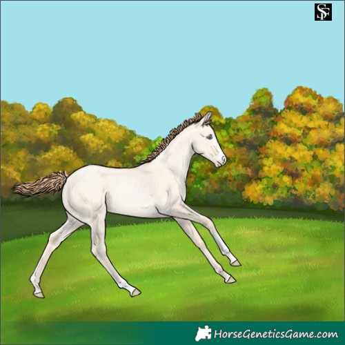 Horse Color:Classic Cream Champagne Pearl Dun Sabino