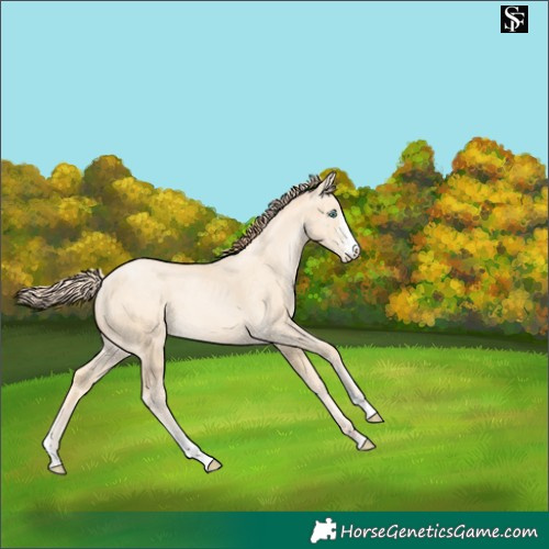 Horse Color:Classic Cream Champagne Pearl Merle Sabino 