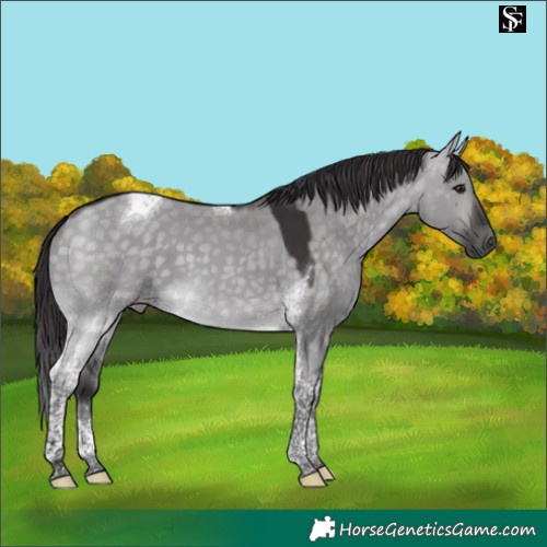 Horse Color:Platinum Buckskin Dun Tobiano 