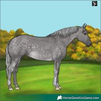 Horse Color:Platinum Silver Buckskin Dun Tobiano