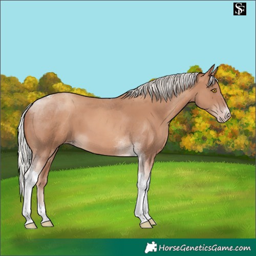 Horse Color:Silver Classic Champagne Tobiano 