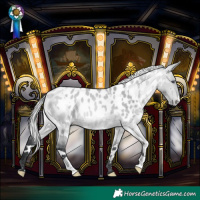 Horse Color:White Spotted Silver Bay Chinchilla Dun Blanket 