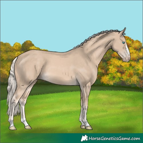 Horse Color:Cremello