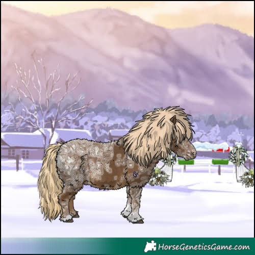 Horse Color:Chocolate Palomino Ice 