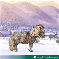Horse Color:Chocolate Palomino Ice