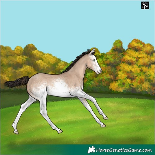 Horse Color:White Spotted Sable Champagne Dun Tobiano 