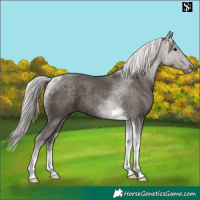 Horse Color:Silver Black Tobiano