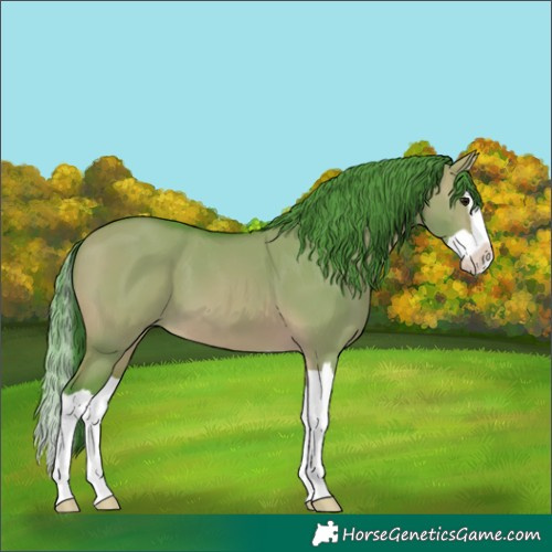 Horse Color:Watercolor Bay Dun Splash 