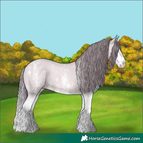 Horse Color:Watercolor Bay Dun Sabino Splash Appaloosa Rabicano 
