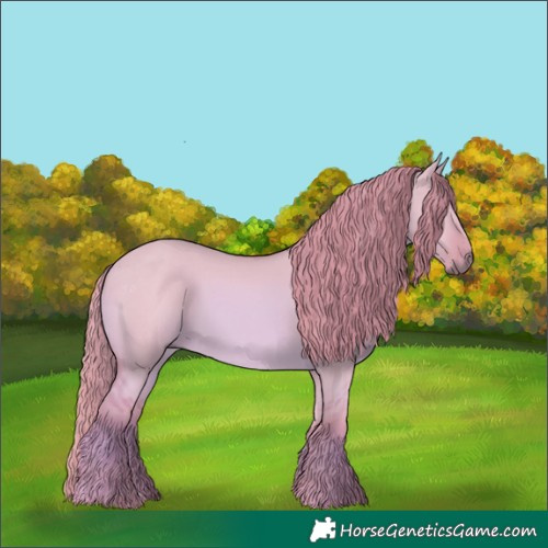 Horse Color:Watercolor Red Dun 