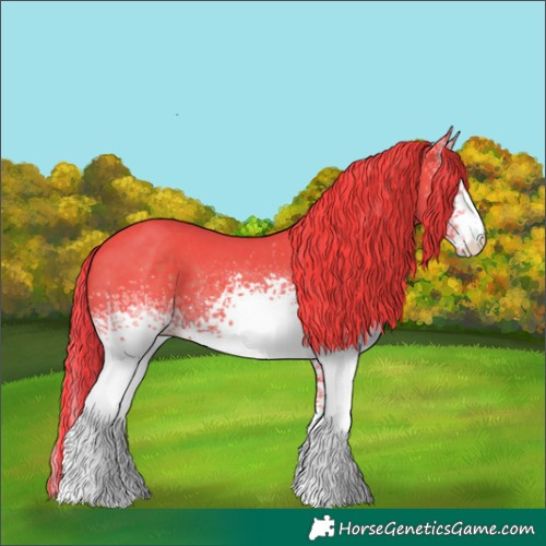 Horse Color:Watercolor White Spotted Liver Chestnut Sabino Rabicano 