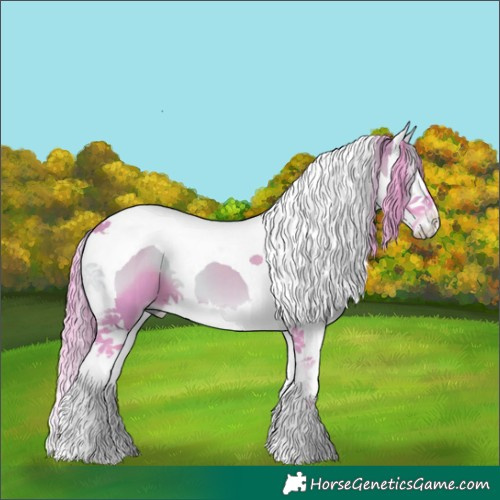 Horse Color:Watercolor Bay Onyx Splash Tobiano 