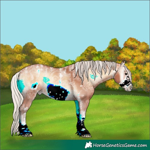 Horse Color:Unknown 