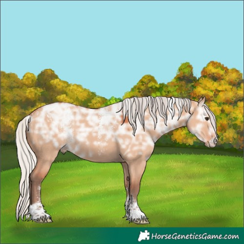 Horse Color:Powder White Silver Bay Ice Dun Rabicano