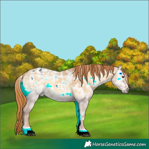Horse Color:Powder White Red Dun Ice Onyx Rabicano