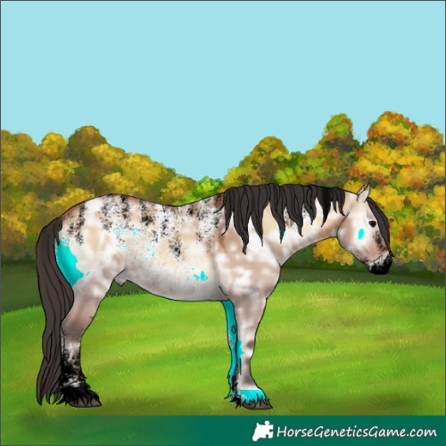 Horse Color:Unknown