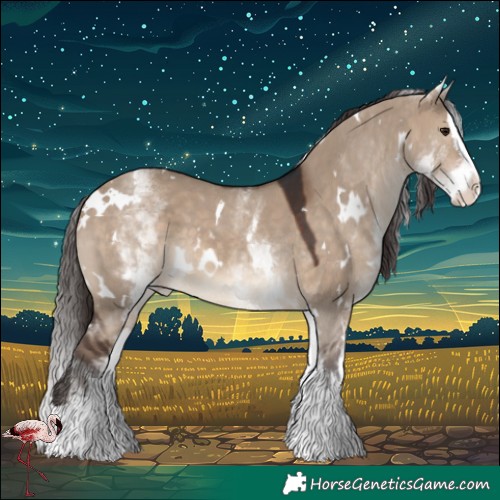 Horse Color:White Spotted Brown Dun Splash Varnish 