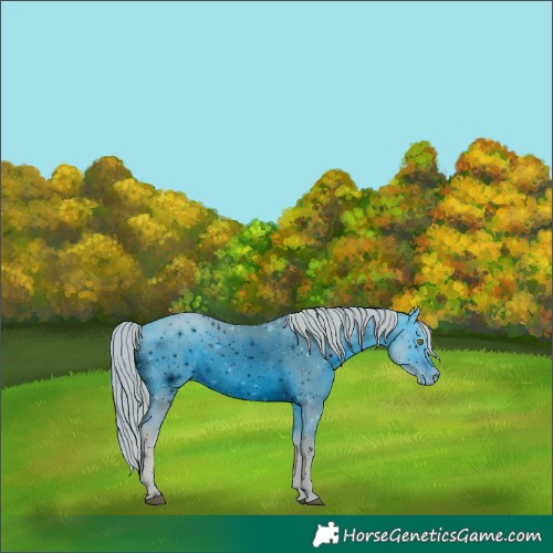 Horse Color:ERROR: UNKNOWN ANOMALY