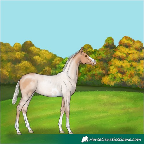 Horse Color:Silver Black Pearl 