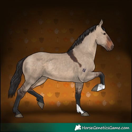 Horse Color:Brown Dun 