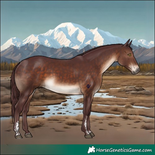 Horse Color:Chocolate Brown Sabino Rabicano