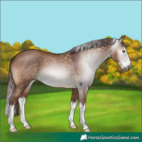 Horse Color:Gray Chocolate Brown Dun Splash