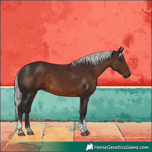 Horse Color:Liver Chestnut Mushroom Tobiano Rabicano 