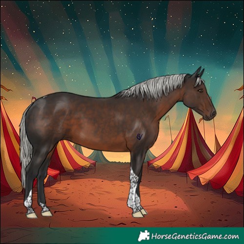 Horse Color:Liver Chestnut Mushroom Tobiano Rabicano 