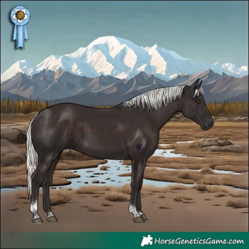 Horse Color:Liver Chestnut Mushroom Tobiano Rabicano 