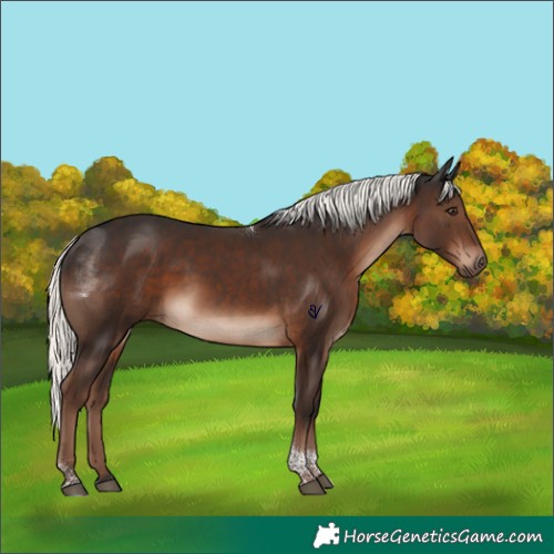 Horse Color:Liver Chestnut Mushroom Tobiano Rabicano 