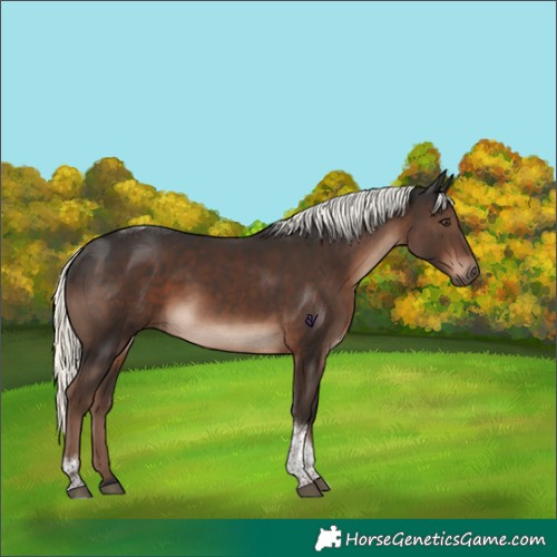 Horse Color:Liver Chestnut Mushroom Tobiano Rabicano 