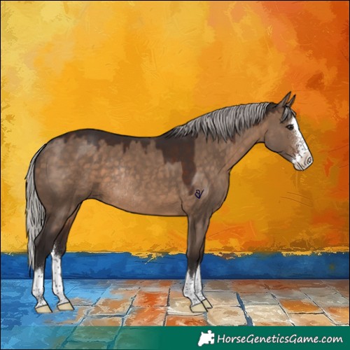 Horse Color:Silver Brown Dun Sabino Splash Rabicano 