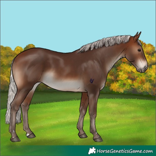 Horse Color:Silver Brown 