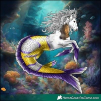 Horse Color:Gray Buckskin Splash Tobiano 