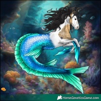 Horse Color:Buckskin Dun Splash Tobiano