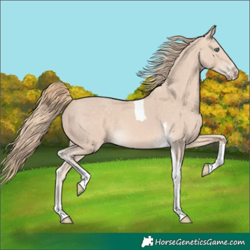 Horse Color:Perlino Tobiano 