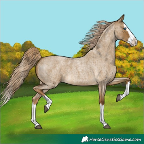 Horse Color:Chocolate Palomino Roan Dun Splash 