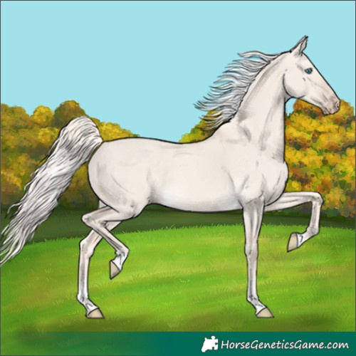 Horse Color:Cremello Dun Tobiano 