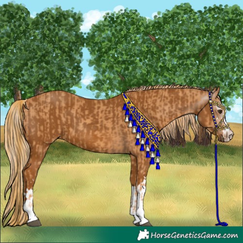 Horse Color:Chestnut and Gray Chestnut