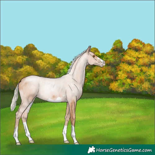 Horse Color:Silver Black Pearl 