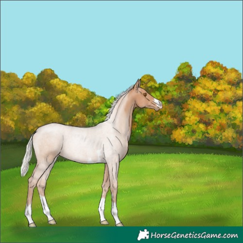Horse Color:Silver Black Pearl 
