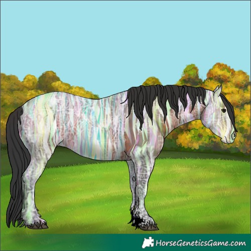 Horse Color:Brown Ice Sabino 