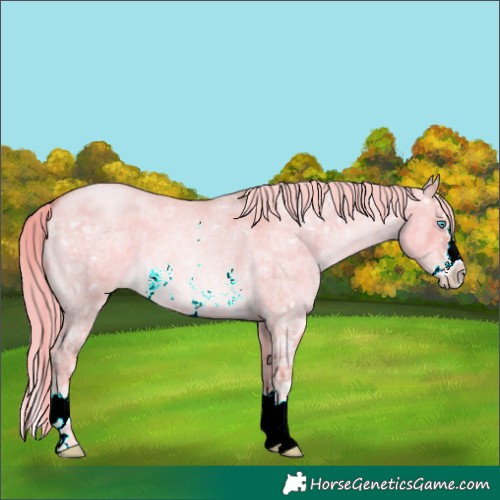 Horse Color:Watercolor Chocolate Palomino Ice Roan Pearl Dun Sabino Splash 