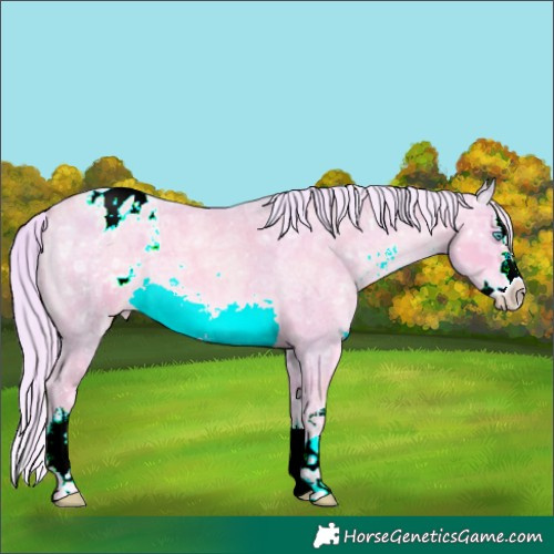 Horse Color:Watercolor White Spotted Chocolate Palomino Ice Roan Pearl Splash Appaloosa 