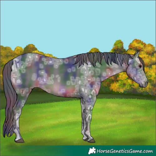 Horse Color:Nacre White Spotted Black Ice
