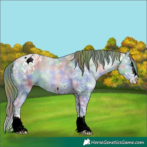 Horse Color:Nacre Smoky Grullo Ice Pearl Sabino Splash Appaloosa 