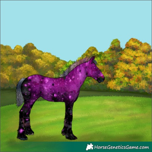 Horse Color:ERROR: UNKNOWN ANOMALY