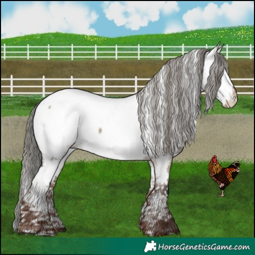 Horse Color:Liver Red Dun Mushroom Near Fewspot 